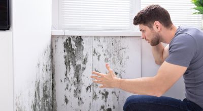 Mold Growth & Indoor Air Quality Mold Growth & Indoor Air Quality