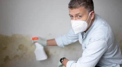 Do Landlords Have to Provide Mold Inspection Reports Mold Inspection Report