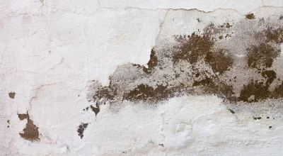 How to Identify Hidden Mold Before It Becomes a Problem