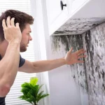 Why is Mold Growing in my Charlottesville Home