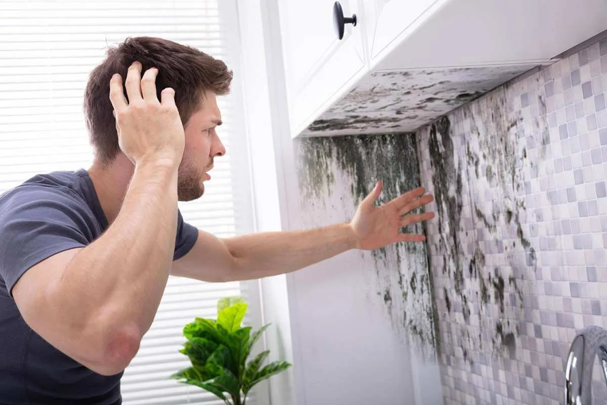 mold inspection in Charlottesville, VA
